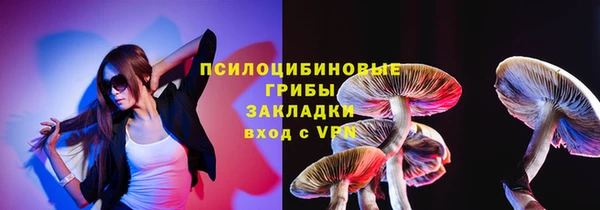 спиды Аркадак
