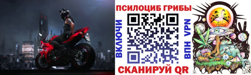 Купить где  Тюкалинск  Псилоцибиновые грибы Psilocybine cubensis 